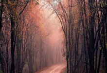 利物浦门将出色表现,多次救险力保球队胜利