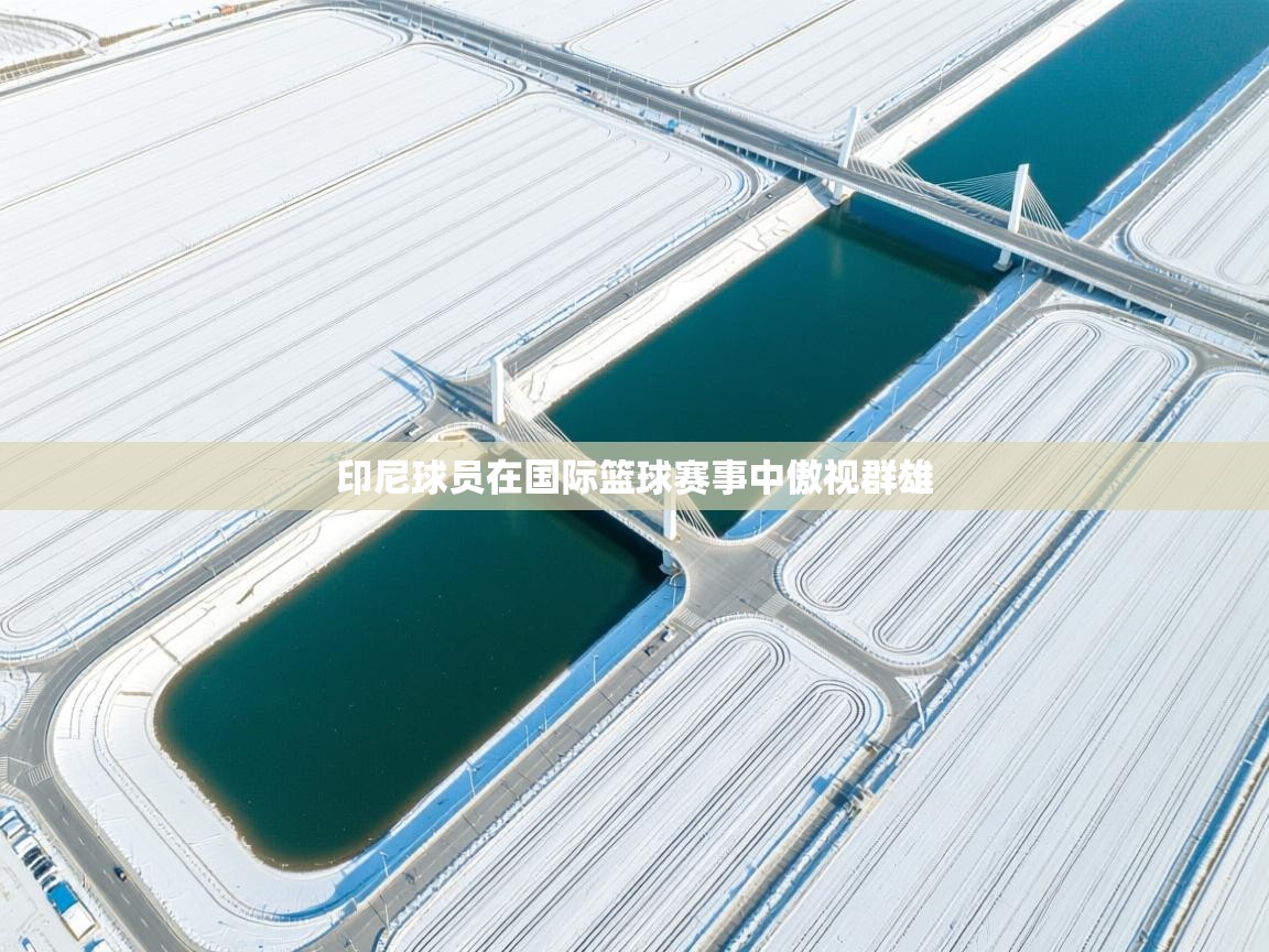 印尼球员在国际篮球赛事中傲视群雄