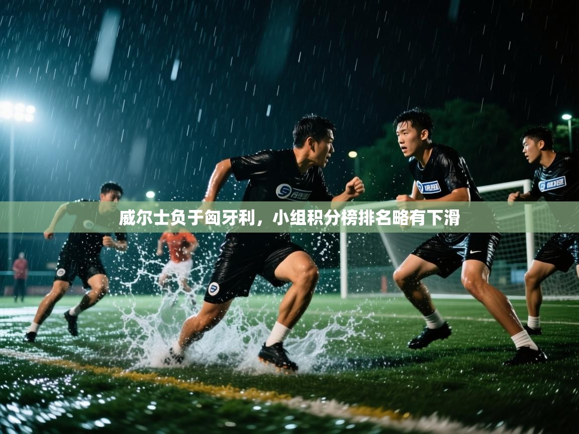 威尔士负于匈牙利，小组积分榜排名略有下滑