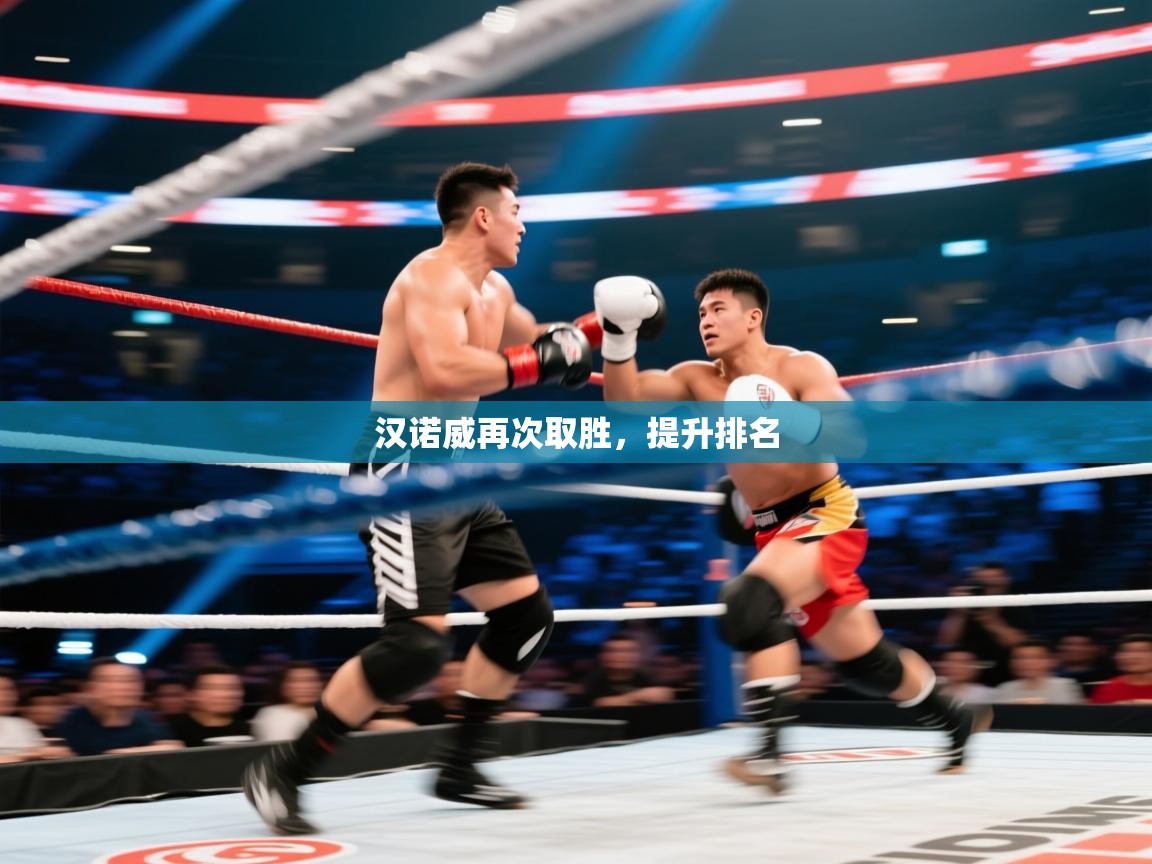 汉诺威再次取胜，提升排名  第2张