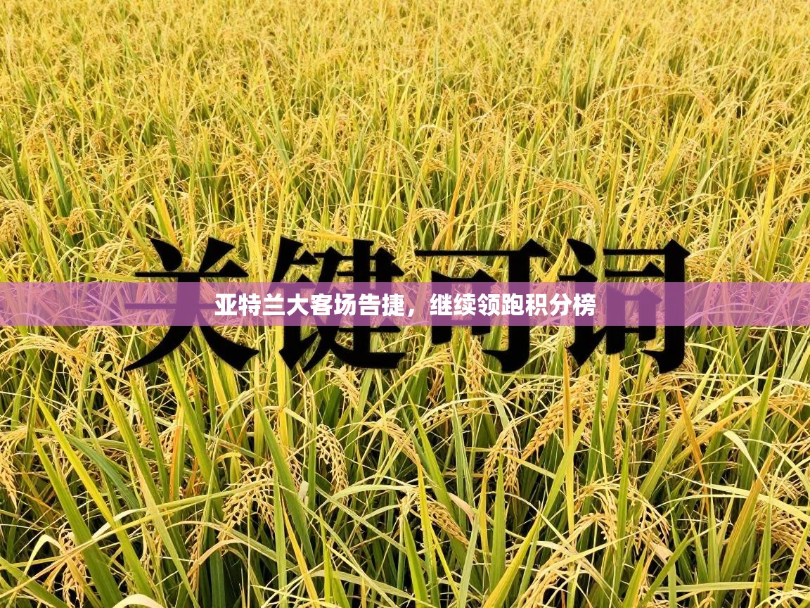 亚特兰大客场告捷，继续领跑积分榜